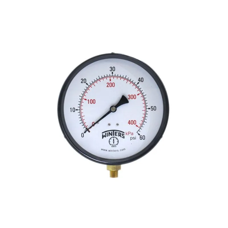 P1S 100 SERIES PRESSURE GAUGE