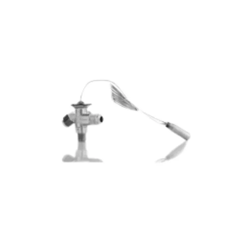 Thermostatic Expansion Valves