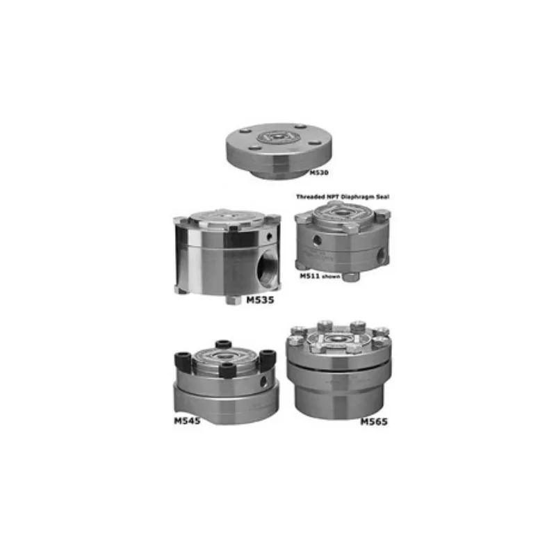 Diaphragm Seals