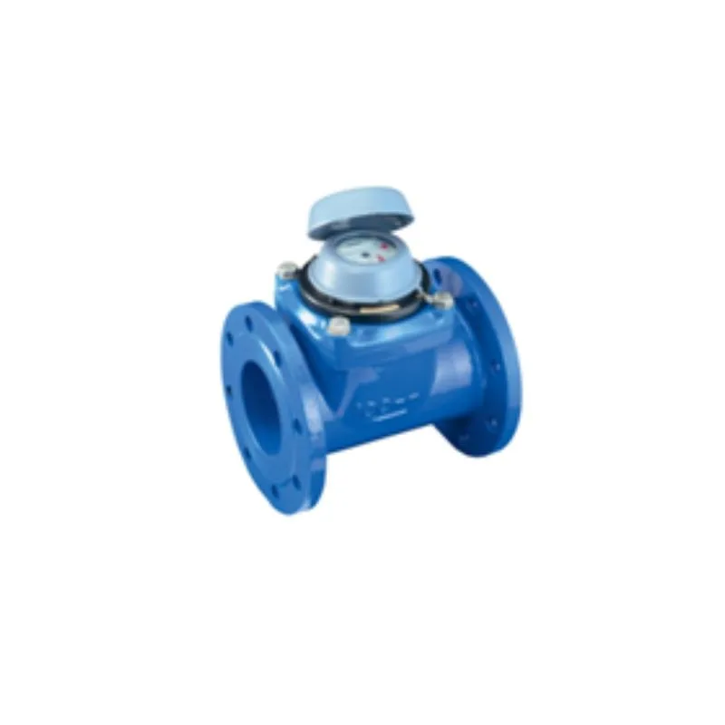 Industrial Water Meters