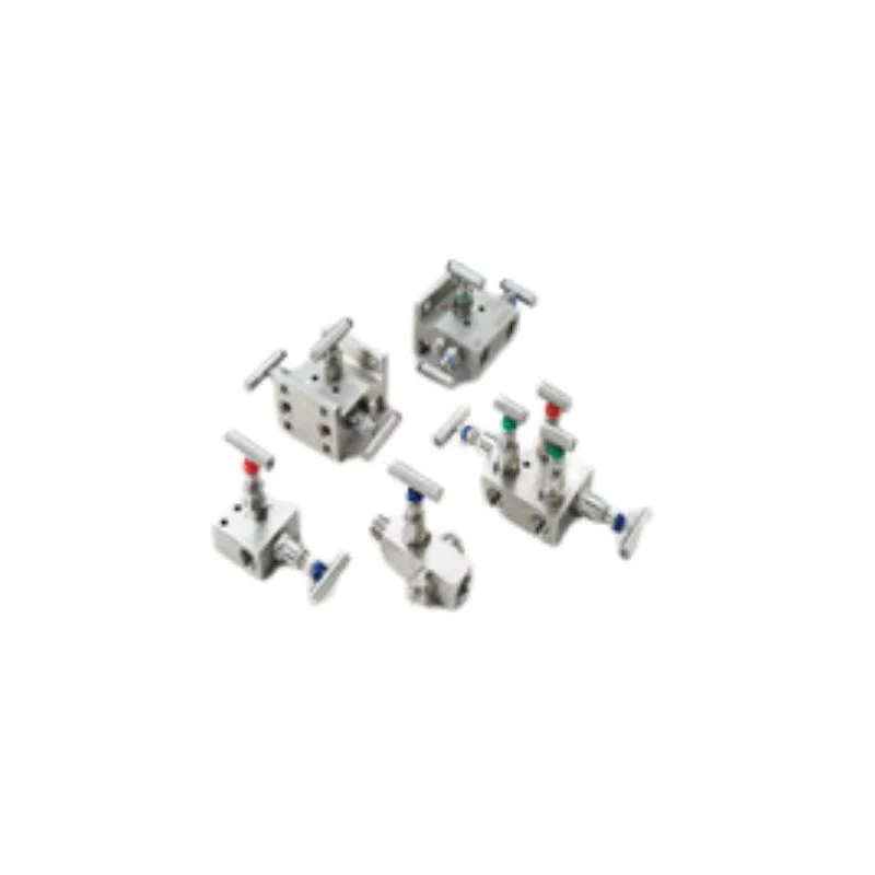 Manifold & Needle Valves