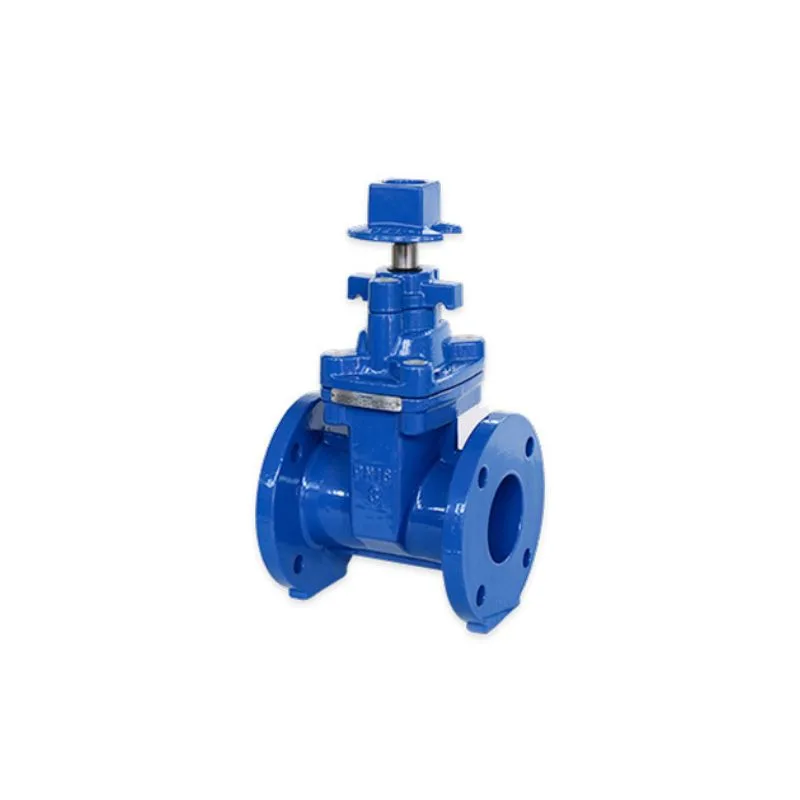 Ductile Iron Flanged NRS Resilient Wedge Gate Valve