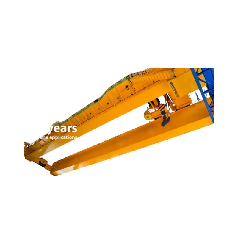 Hoisting and Lifting VFDs used in cranes and elevators